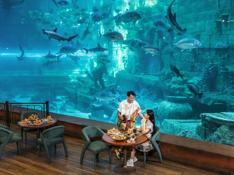 Gala dinner tables set beside the aquarium tanks at VinWonders